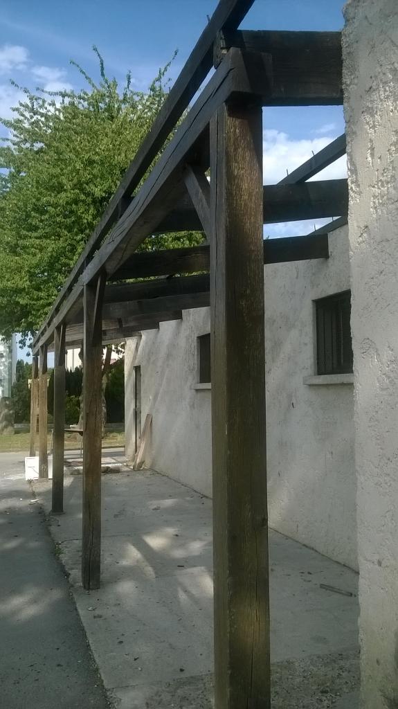 WP_20150803_011